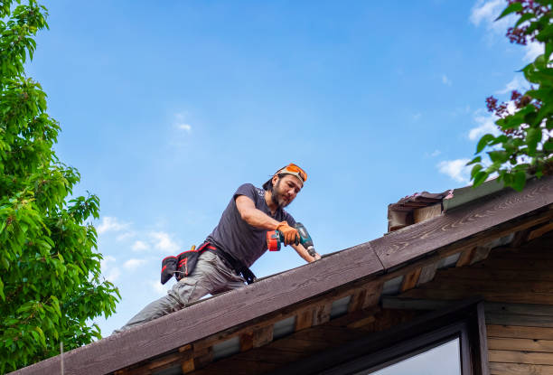 Best Roof Moss and Algae Removal  in Shady Cove, OR